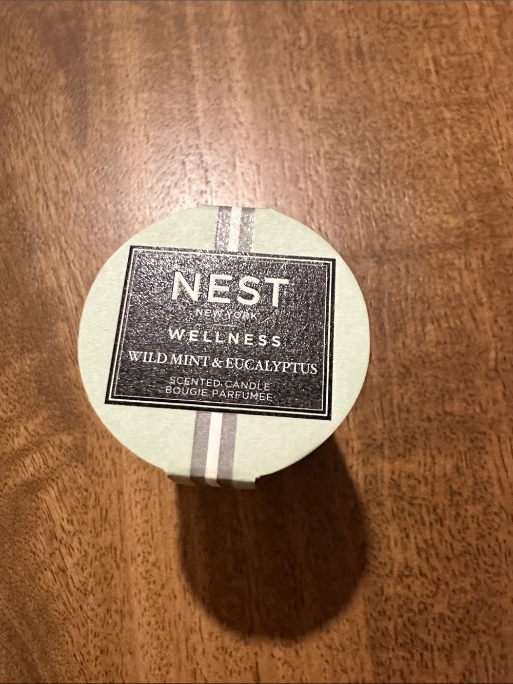 NEST New York Wellness Candle Wild Mint & Eucalyptus - NEW